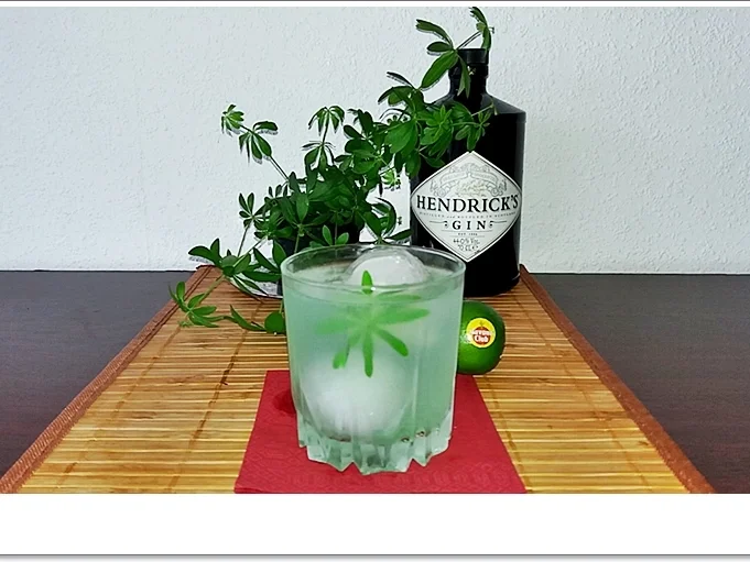 Gin-Waldmeister  ➯ Cocktail - Rezept - Bild Nr. 5664