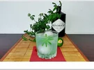 Gin-Waldmeister  ➯ Cocktail - Rezept - Bild Nr. 5664