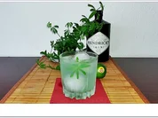 Gin-Waldmeister  ➯ Cocktail - Rezept - Bild Nr. 5664