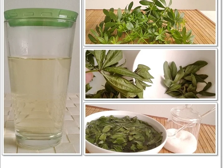 Gin-Waldmeister  ➯ Cocktail - Rezept - Bild Nr. 5673