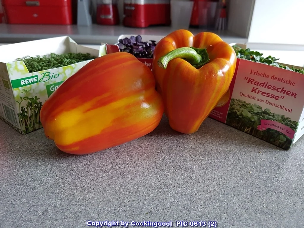 Rezept: Kalbskotelett Salat und Schwellmännchen à la Biggi Bild Nr. 5677 Kalbskotelett Salat und Schwellmännchen à la Biggi - Rezept - Bild Nr. 5677