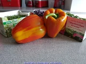 Kalbskotelett Salat und Schwellmännchen à la Biggi - Rezept - Bild Nr. 5677