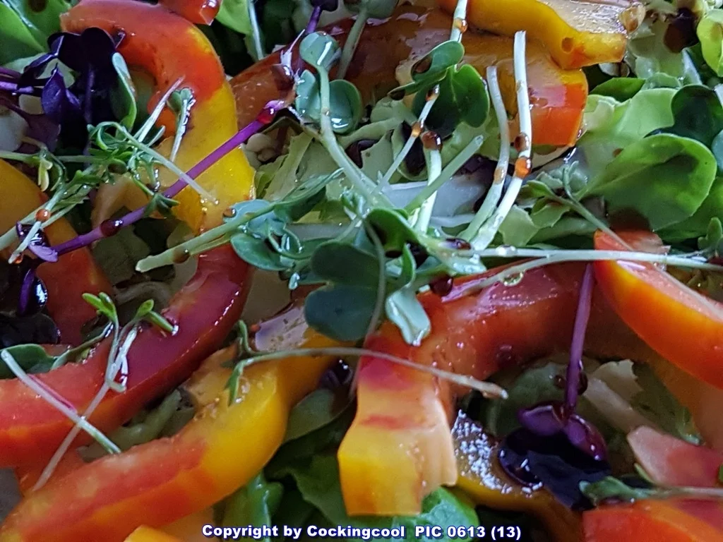 Rezept: Kalbskotelett Salat und Schwellmännchen à la Biggi Bild Nr. 5685 Kalbskotelett Salat und Schwellmännchen à la Biggi - Rezept - Bild Nr. 5685