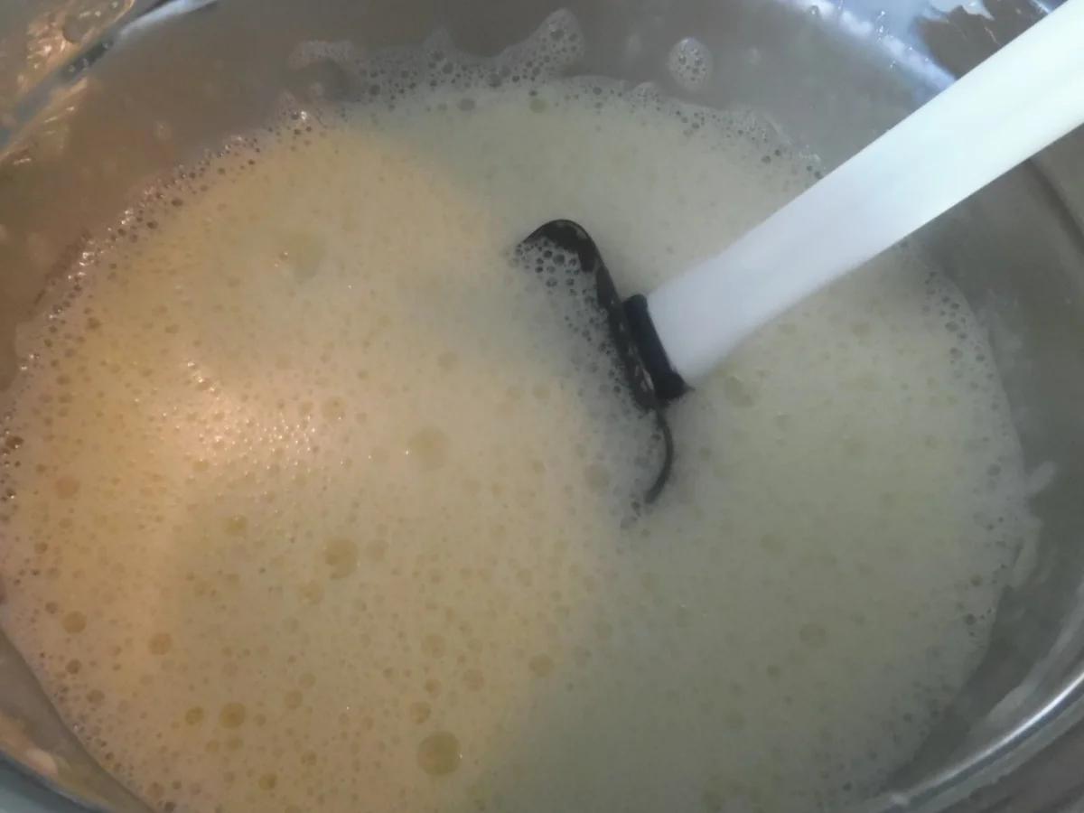 Kokos-Eis mal etwas anders - Rezept - Bild Nr. 5698