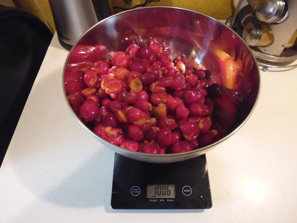 Roter Kirschpflaumenkompott - Rezept - Bild Nr. 5699