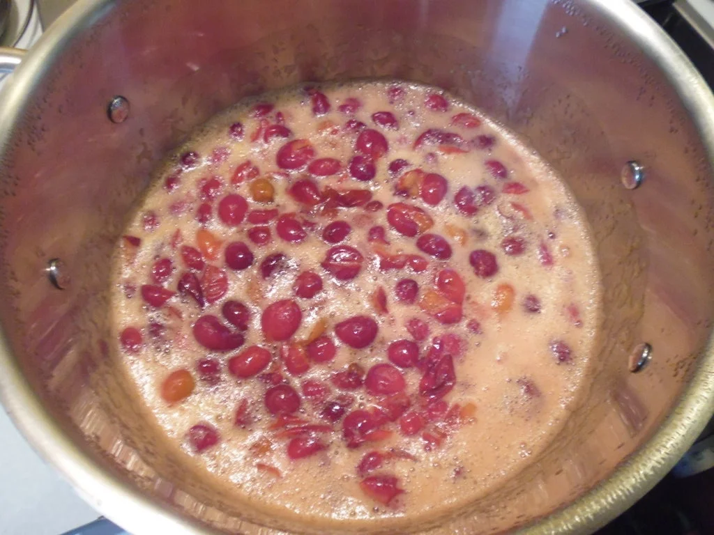 Roter Kirschpflaumenkompott - Rezept - Bild Nr. 5702