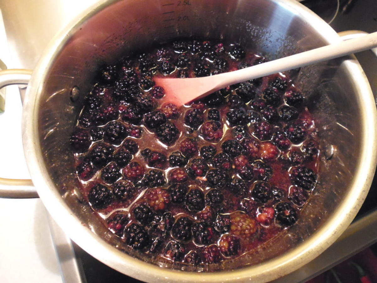 Apfel-Brombeer-Johannisbeerlikör-Konfitüre - Rezept - Bild Nr. 5703