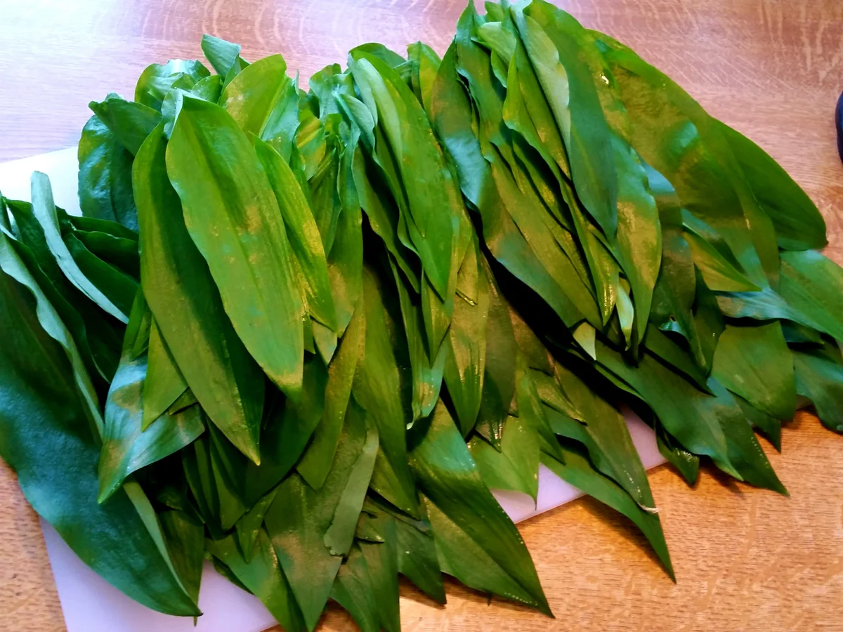 Bärlauchbutter - Rezept - Bild Nr. 5698