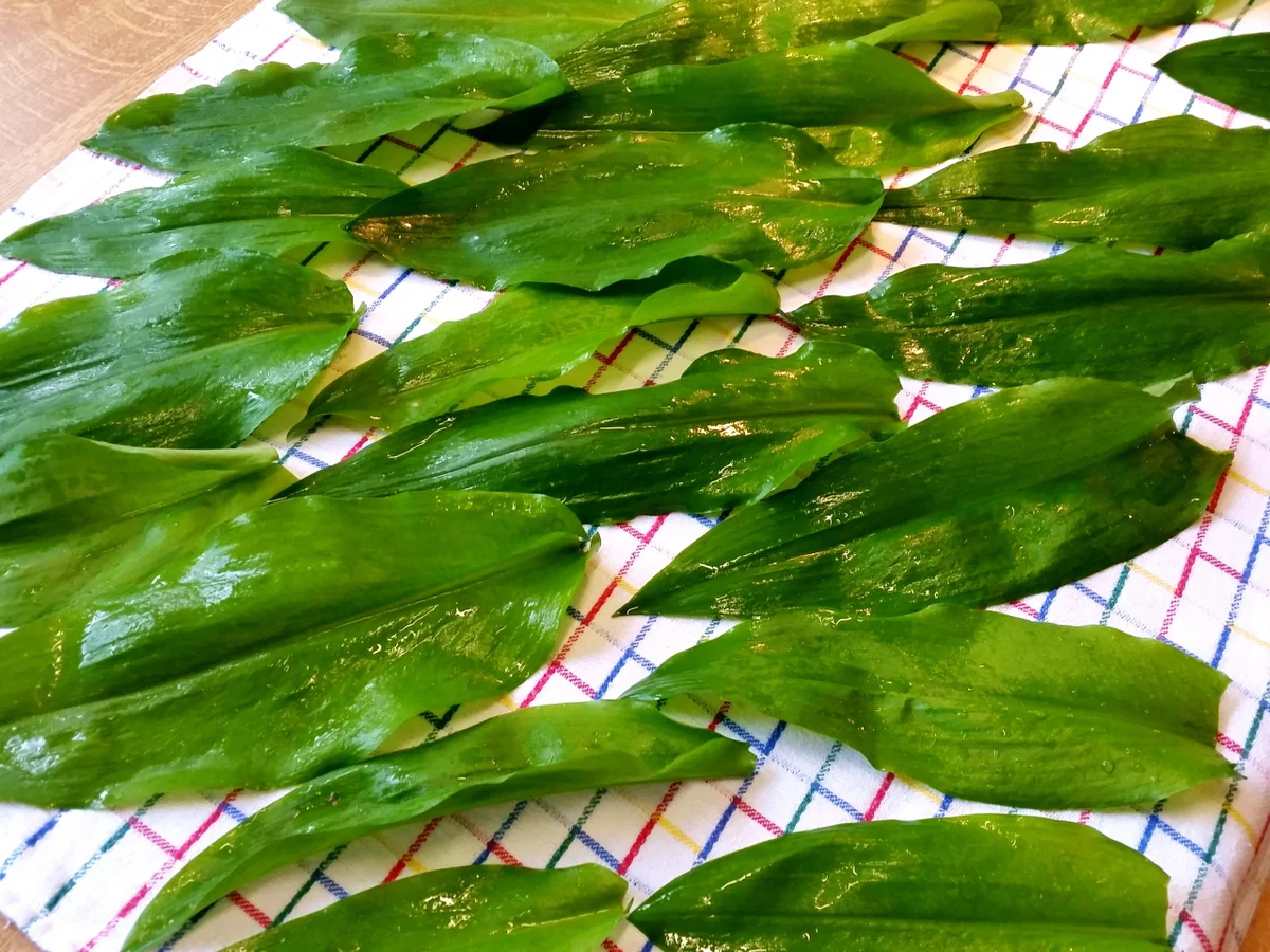 Bärlauchbutter - Rezept - Bild Nr. 5699