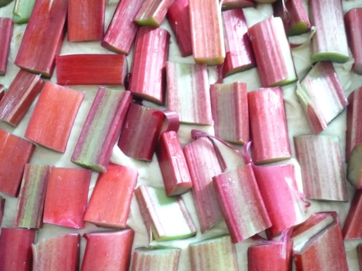 Rezept: Rhabarber - Schmand - Kuchen Bild Nr. 5700 Rhabarber - Schmand - Kuchen - Rezept - Bild Nr. 5700