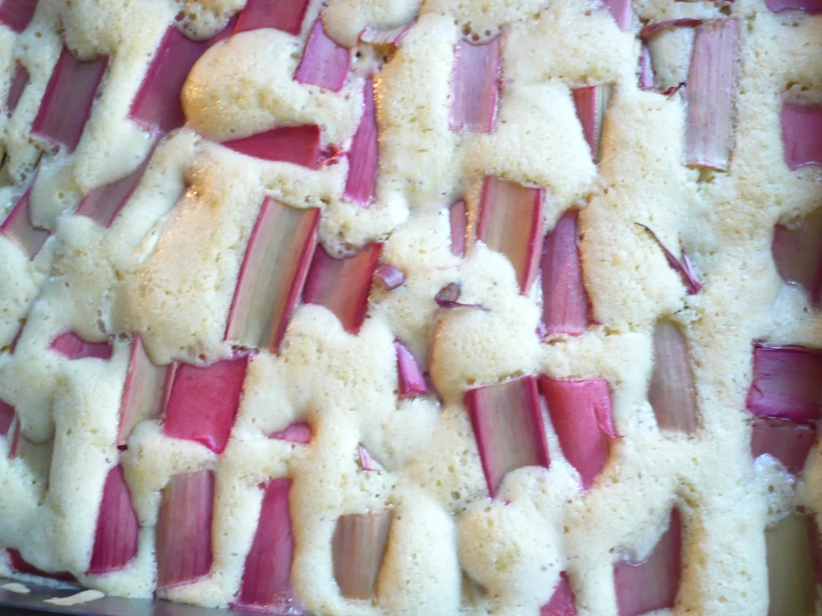 Rezept: Rhabarber - Schmand - Kuchen Bild Nr. 5703 Rhabarber - Schmand - Kuchen - Rezept - Bild Nr. 5703