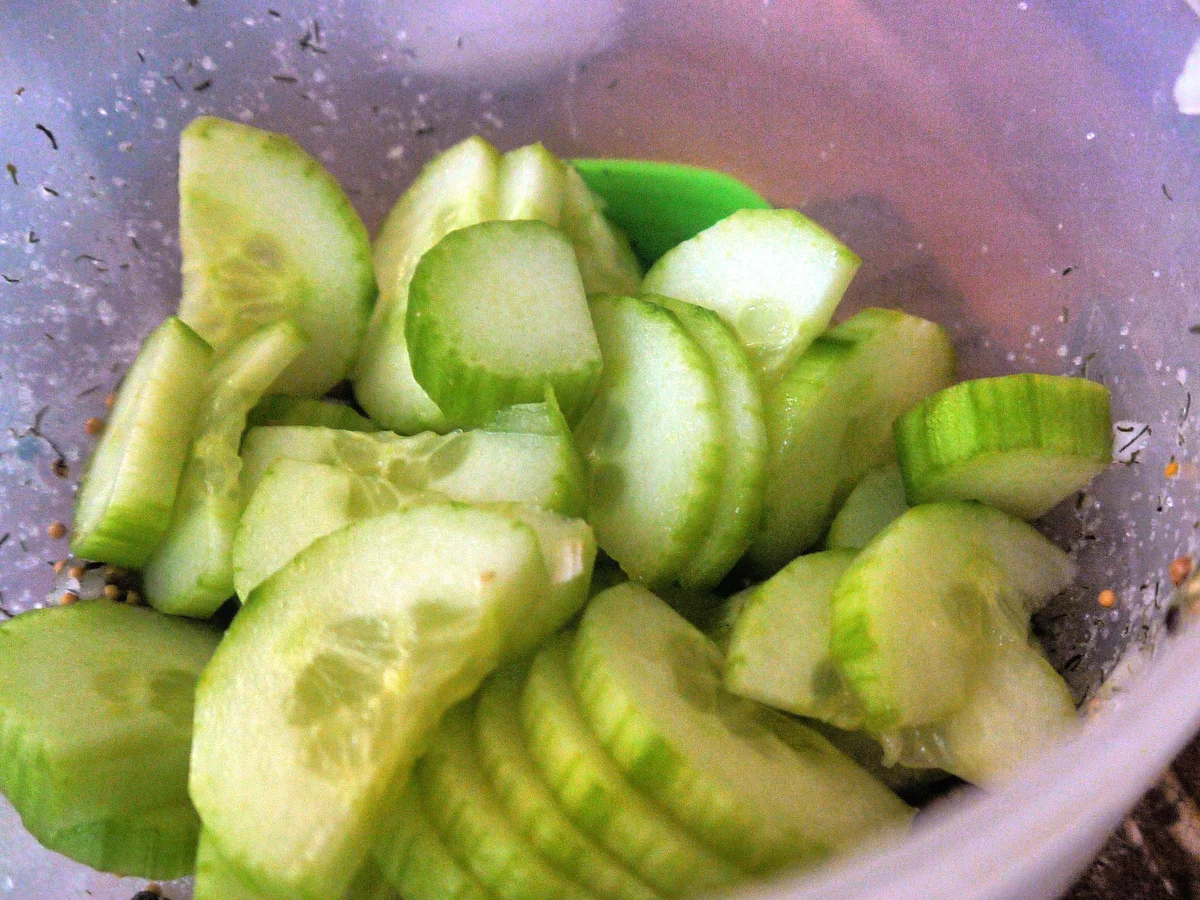 Rezept: Orientalische Schüttelgurken Bild Nr. 5713 Orientalische Schüttelgurken - Rezept - Bild Nr. 5713