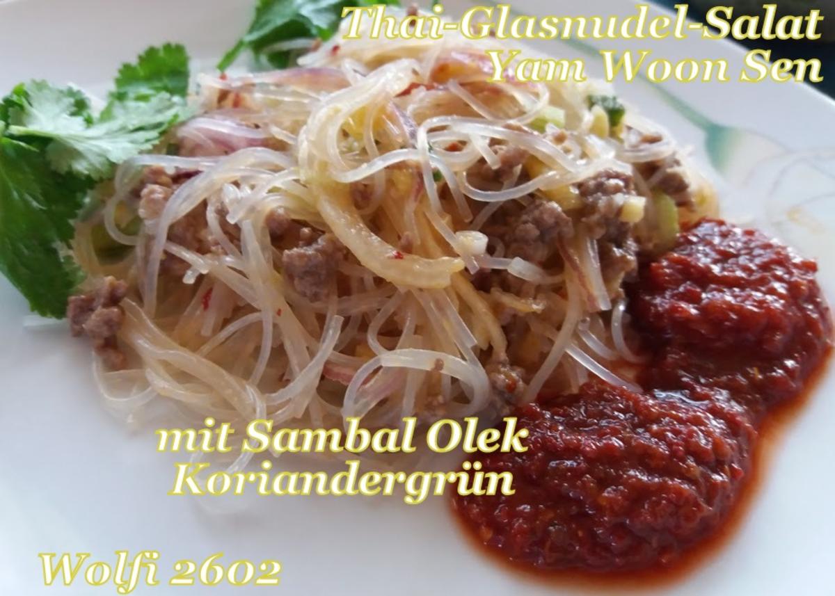 Salat Thai-Glasnudel-Salat mit Rinder-Hackfleisch - Rezept - Bild Nr. 5731