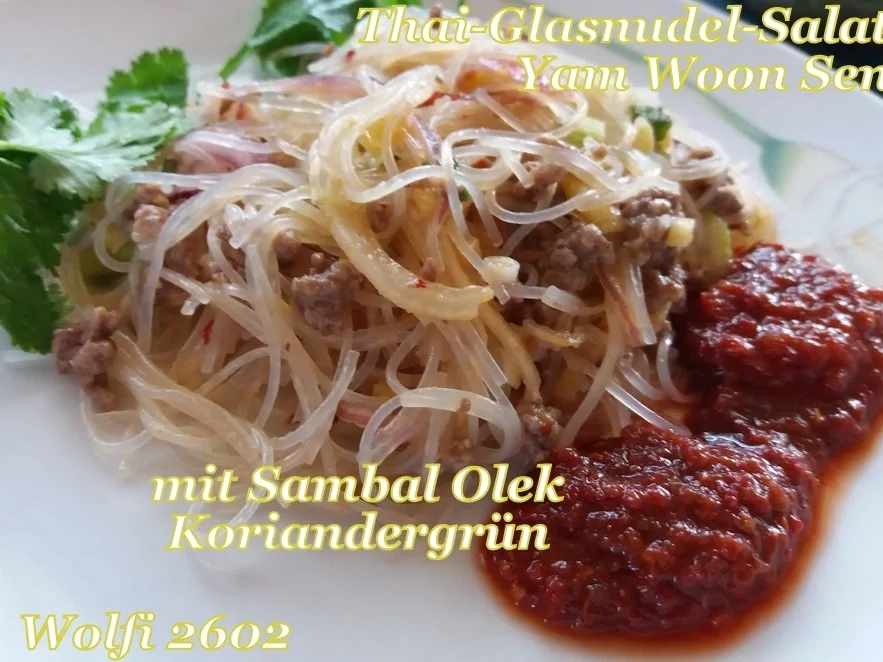 Rezept: Salat Thai-Glasnudel-Salat mit Rinder-Hackfleisch Bild Nr. 5731 Salat Thai-Glasnudel-Salat mit Rinder-Hackfleisch - Rezept - Bild Nr. 5731