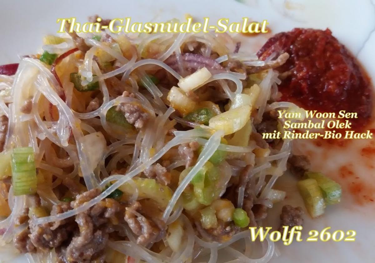 Salat Thai-Glasnudel-Salat mit Rinder-Hackfleisch - Rezept - Bild Nr. 5732