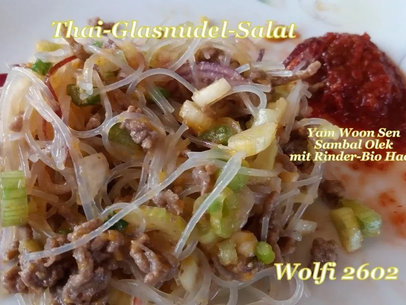 Rezept: Salat Thai-Glasnudel-Salat mit Rinder-Hackfleisch Bild Nr. 5732 Salat Thai-Glasnudel-Salat mit Rinder-Hackfleisch - Rezept - Bild Nr. 5732