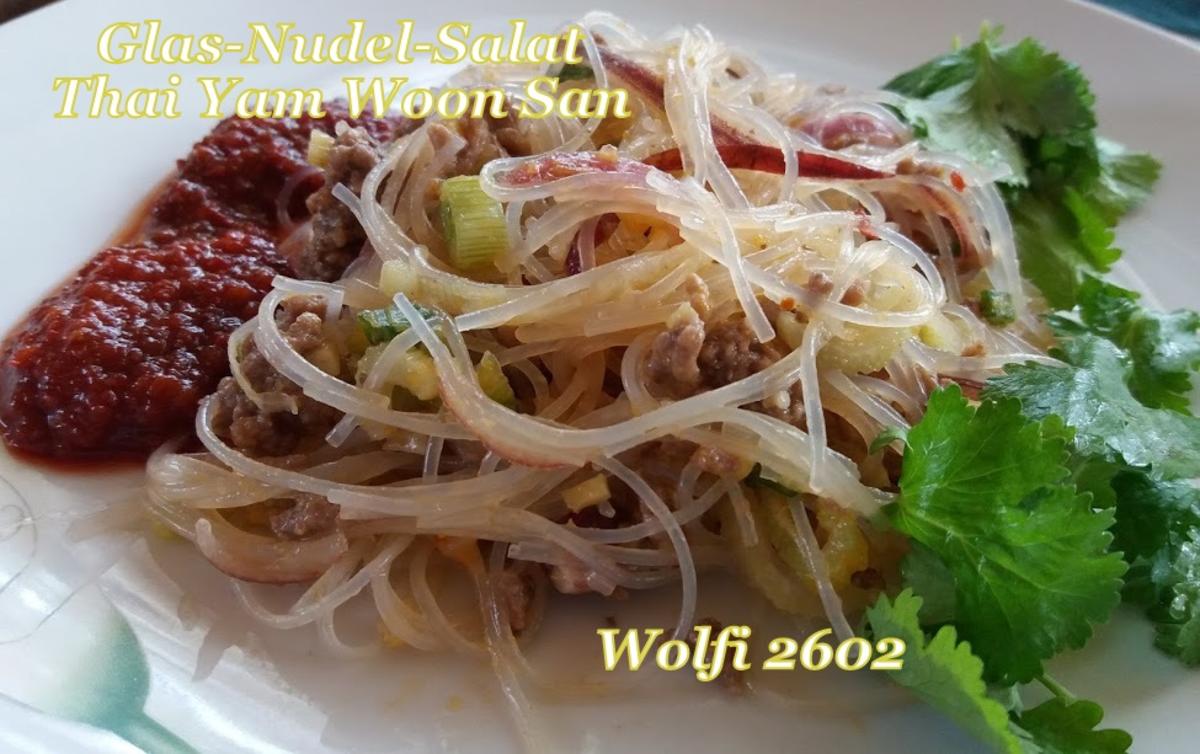 Salat Thai-Glasnudel-Salat mit Rinder-Hackfleisch - Rezept - Bild Nr. 5733