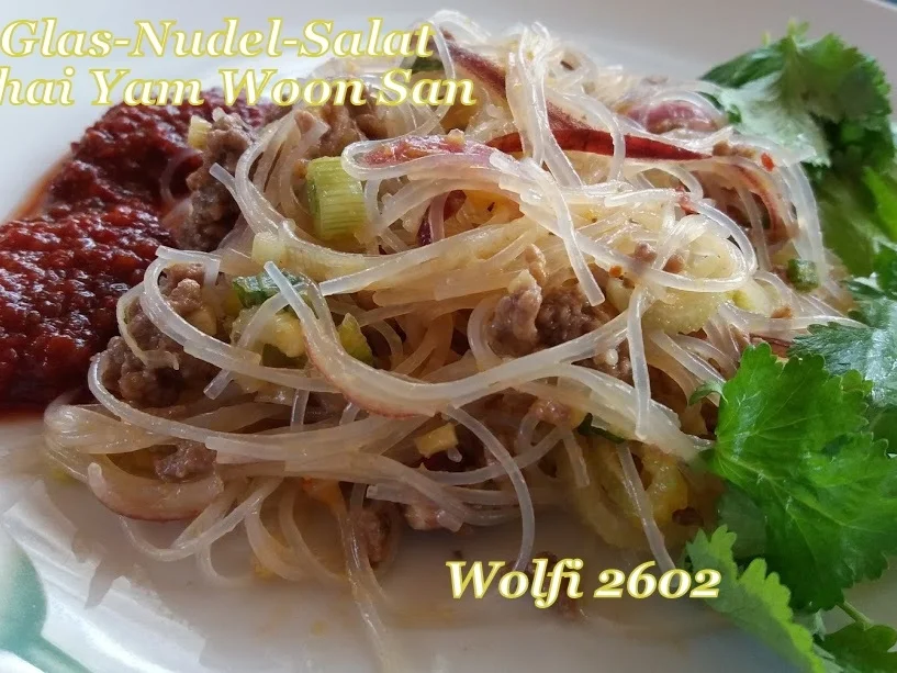 Rezept: Salat Thai-Glasnudel-Salat mit Rinder-Hackfleisch Bild Nr. 5733 Salat Thai-Glasnudel-Salat mit Rinder-Hackfleisch - Rezept - Bild Nr. 5733
