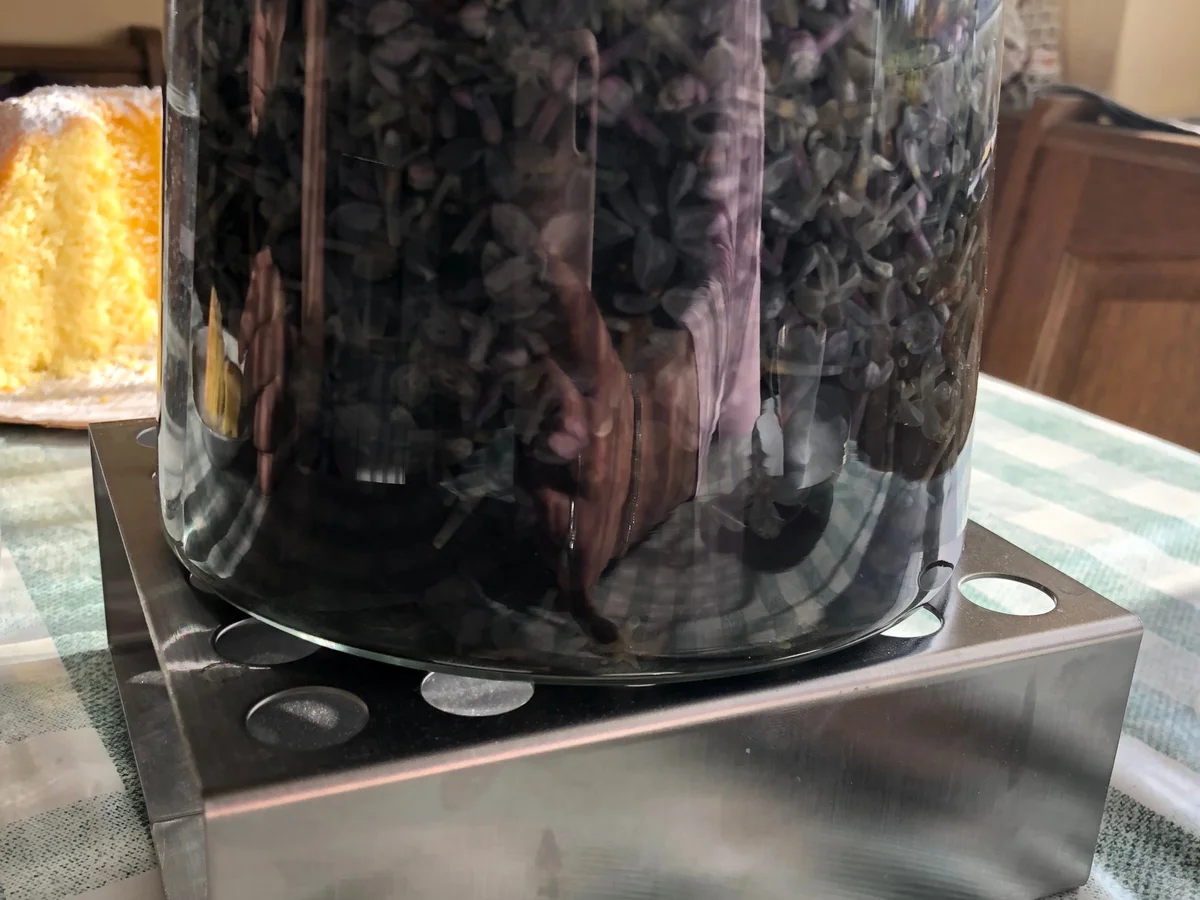 Fliedergelee - Rezept - Bild Nr. 3