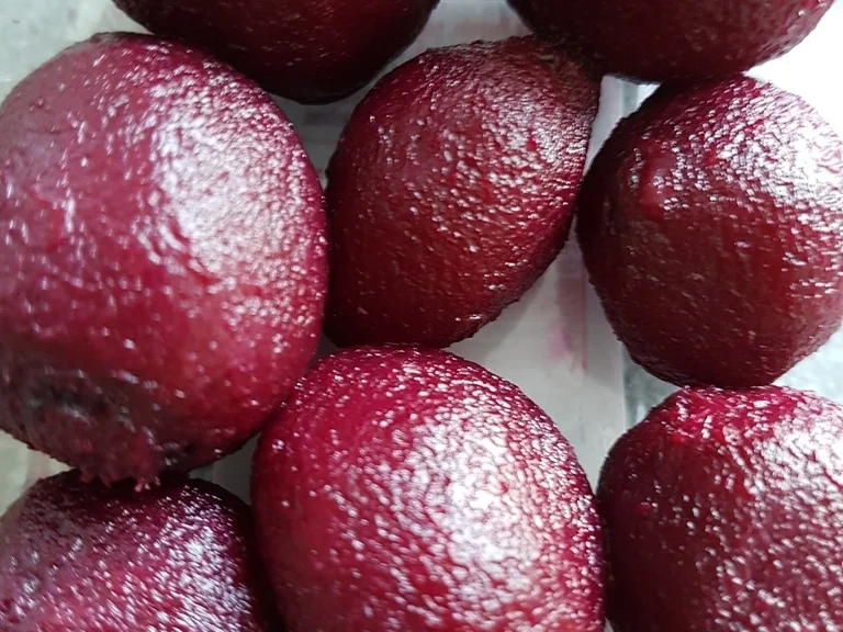 Ravioli gefüllt mit Rote Bete Meerettichcreme - Rezept - Bild Nr. 5743