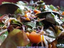 Süsskartoffel- Sprossen- Körner Sauerampfer und Babysalat Blätter - Rezept - Bild Nr. 5763
