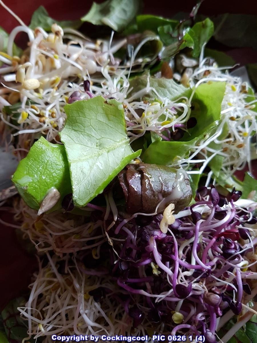Süsskartoffel- Sprossen- Körner Sauerampfer und Babysalat Blätter - Rezept - Bild Nr. 5768