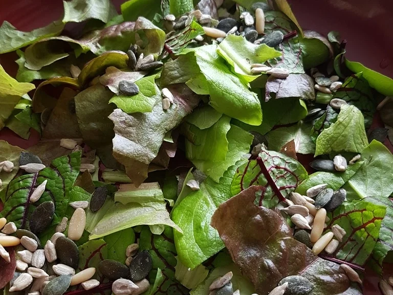 Süsskartoffel- Sprossen- Körner Sauerampfer und Babysalat Blätter - Rezept - Bild Nr. 5772