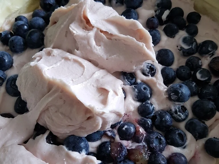 Rezept: Heidelbeer Baiser Haubentorte mit "Mürbeteig Grundrezept" Bild Nr. 5791 Heidelbeer Baiser Haubentorte mit "Mürbeteig Grundrezept" - Rezept - Bild Nr. 5791