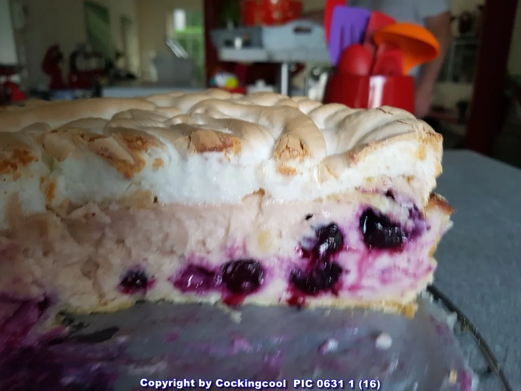 Rezept: Heidelbeer Baiser Haubentorte mit "Mürbeteig Grundrezept" Bild Nr. 5798 Heidelbeer Baiser Haubentorte mit "Mürbeteig Grundrezept" - Rezept - Bild Nr. 5798