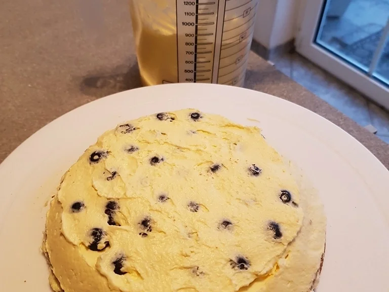 Blaubeeren Physalis Sahnetörtchen - Rezept - Bild Nr. 5802