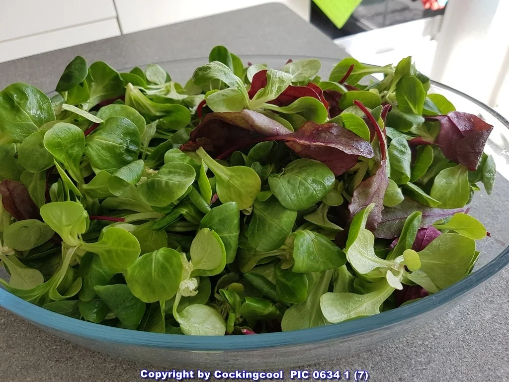 Rezept: Kartoffelauflauf Bild Nr. 5807 Kartoffelauflauf - Rezept - Bild Nr. 5807