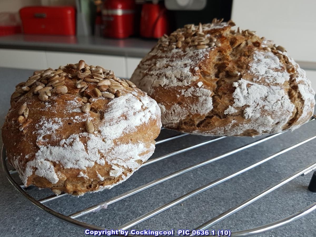 Bilder für Oma Löffel`s Brote = Roggenmischbrot mit Sonnenblumenkernen - Rezept