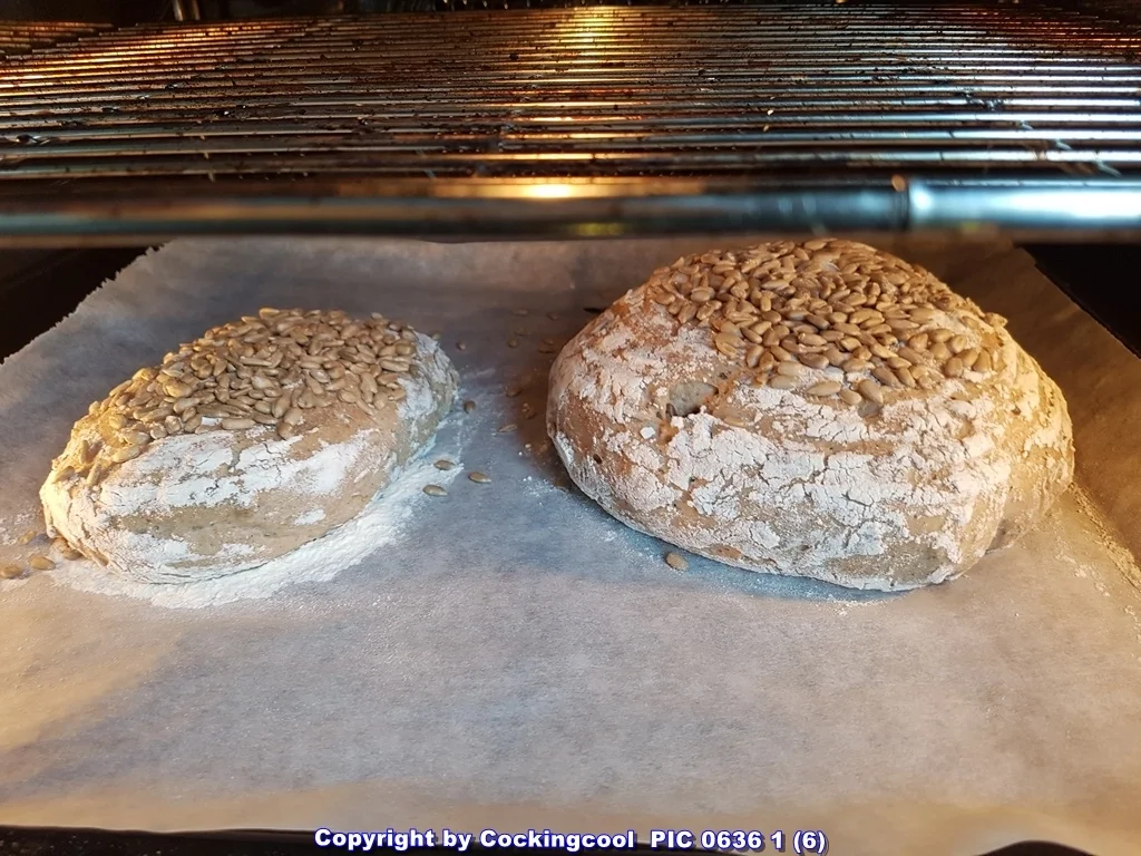 Roggenmischbrot mit Sonnenblumenkernen - Rezept - Bild Nr. 5813