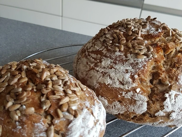 Roggenmischbrot mit Sonnenblumenkernen - Rezept - Bild Nr. 5820