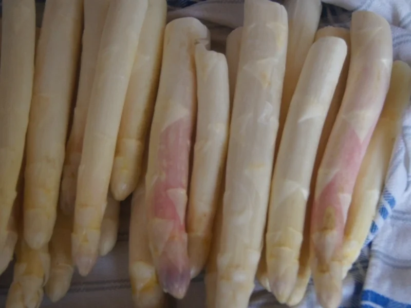 Rezept: Spargelsuppe mit Einlage Bild Nr. 5820 Spargelsuppe mit Einlage - Rezept - Bild Nr. 5820