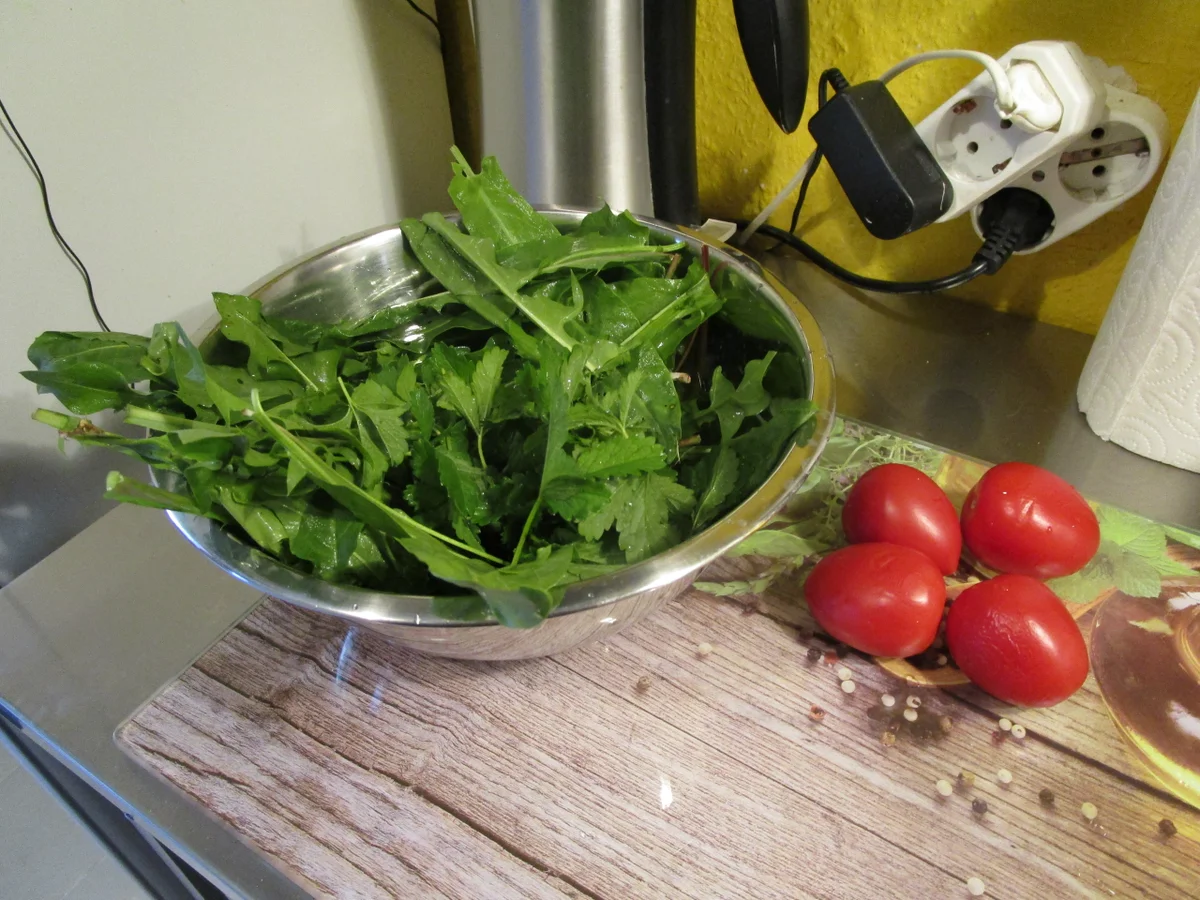 Wildkräutersalat - Rezept - Bild Nr. 5817
