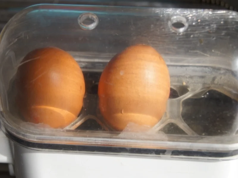 Kartoffeln mit Snack-Möhren in pikanter Sauce und Ei - Rezept - Bild Nr. 5834