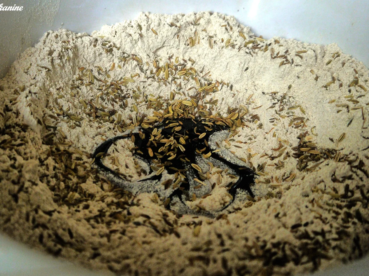 Würziges und schnelles Roggenbrot - Rezept - Bild Nr. 3