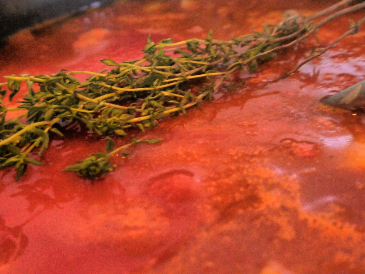 Schwein in Thymian-Tomaten-Sauce auf Pasta - Rezept - Bild Nr. 7