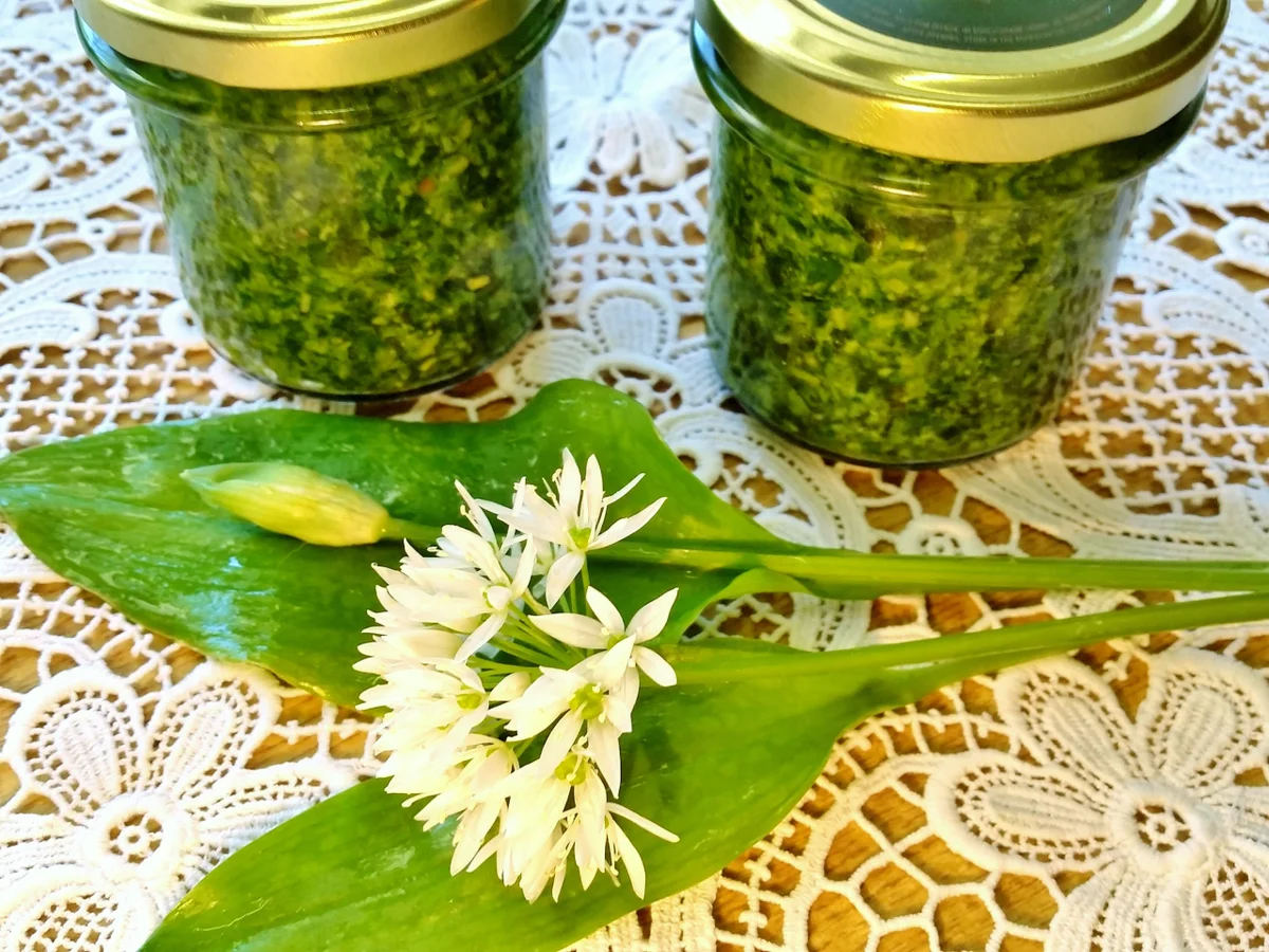 Rezept: Mein Bärlauchpesto 2018 Bild Nr. 5828 Mein Bärlauchpesto 2018 - Rezept - Bild Nr. 5828