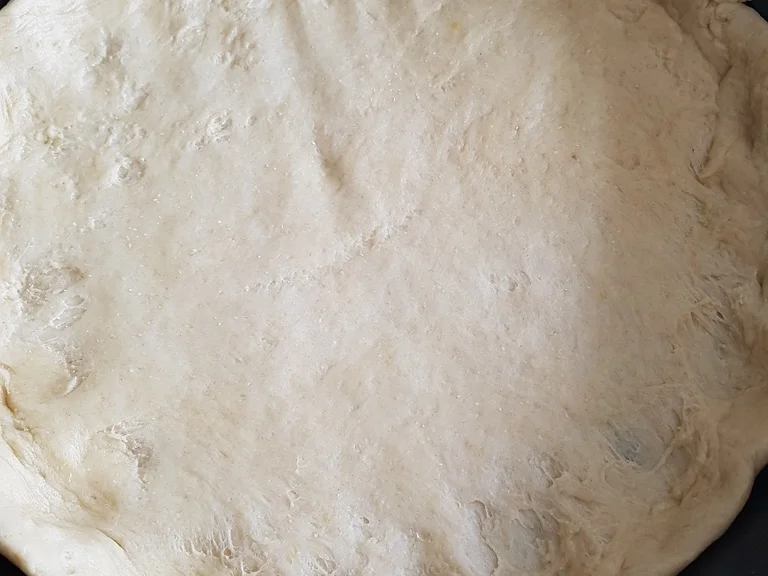 "Reisfladen" (mit einer Art Hefemürbteig) a`la Biggi - Rezept - Bild Nr. 5833