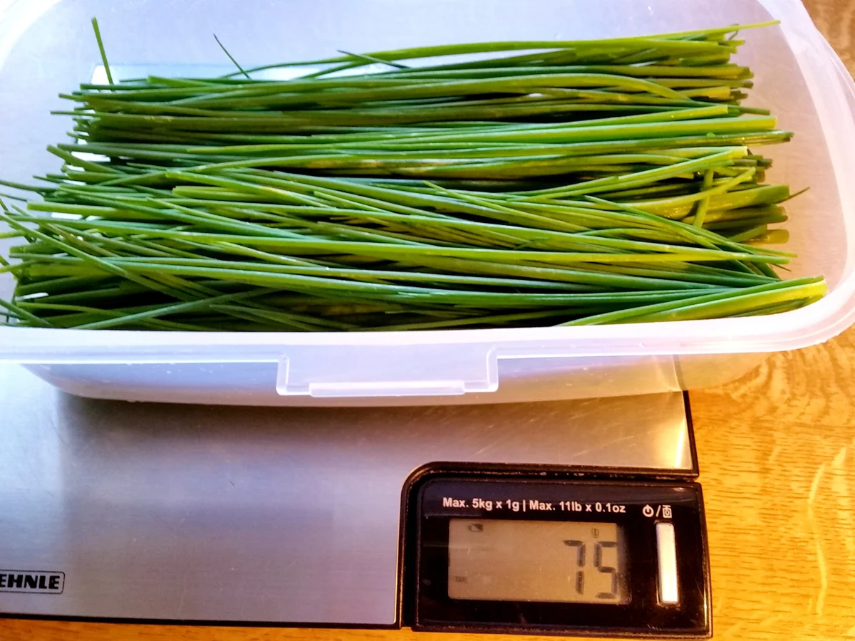 Schnittlauch-Salat mit Eiern ... - Rezept - Bild Nr. 3