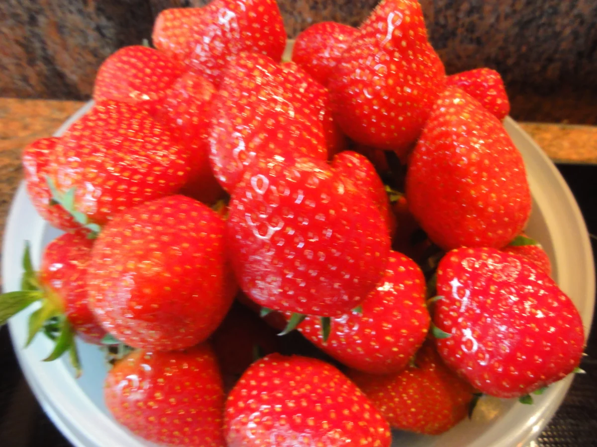 Rezept: Muffins: SCHOKO ~ CUP ~ CAKE Bild Nr. 5833 Muffins: SCHOKO ~ CUP ~ CAKE - Rezept - Bild Nr. 5833