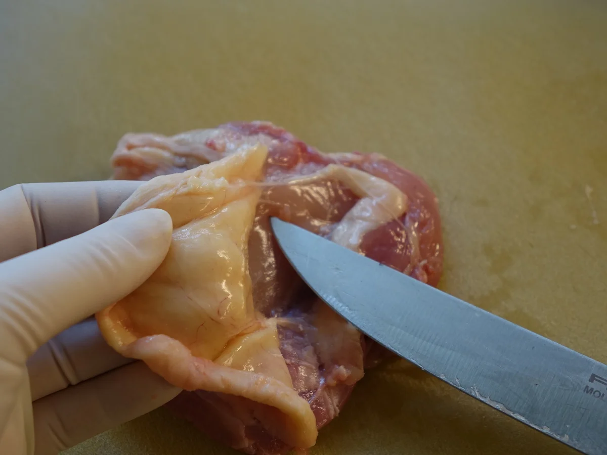 Knusprige Pollo Fino- Saltimbocca - Rezept - Bild Nr. 5828