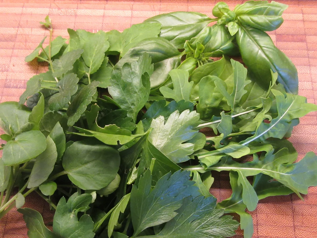 Rezept: Kräuter-Pannacotta mit Schmorgemüsesalat Bild Nr. 5834 Kräuter-Pannacotta mit Schmorgemüsesalat - Rezept - Bild Nr. 5834