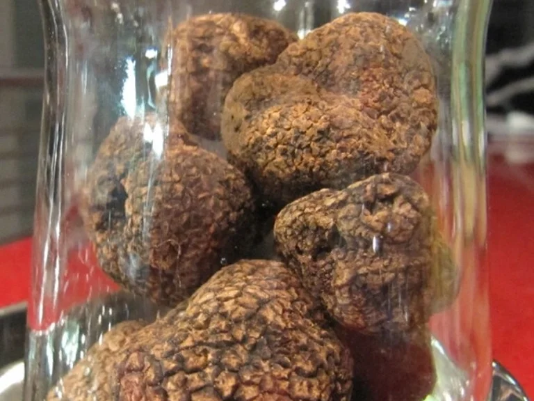 Spaghetti mit selbsthergestellter "Trüffelbutter" vom Sommertrüffel - Rezept - Bild Nr. 5839