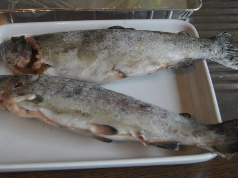 Rezept: Forelle mit Drillingen und Rotkohl Bild Nr. 5836 Forelle mit Drillingen und Rotkohl - Rezept - Bild Nr. 5836