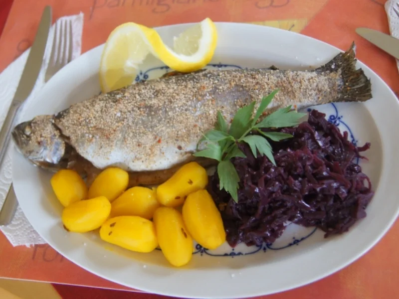 Rezept: Forelle mit Drillingen und Rotkohl Bild Nr. 5843 Forelle mit Drillingen und Rotkohl - Rezept - Bild Nr. 5843