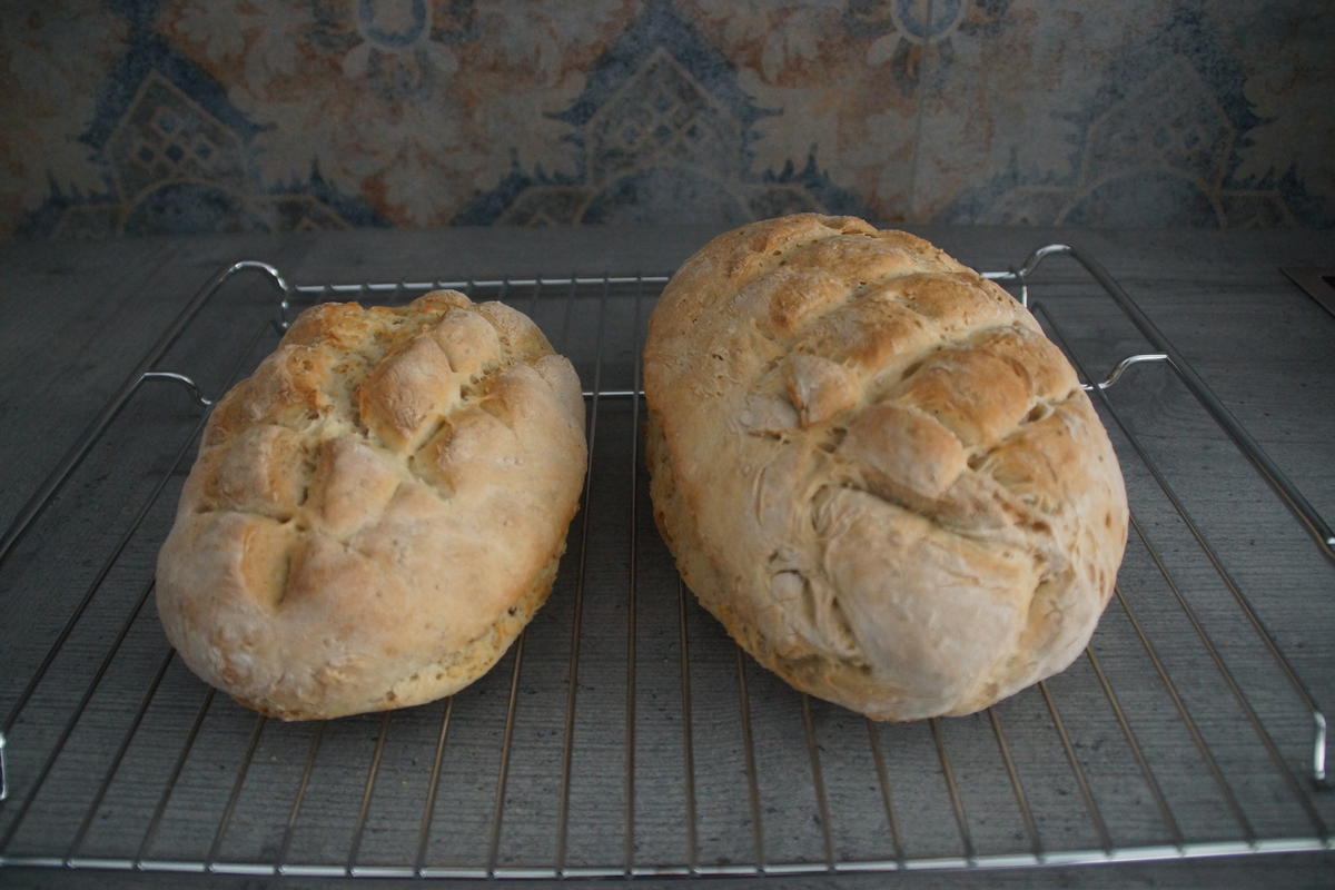 Sesambrot - Rezept - Bild Nr. 5835