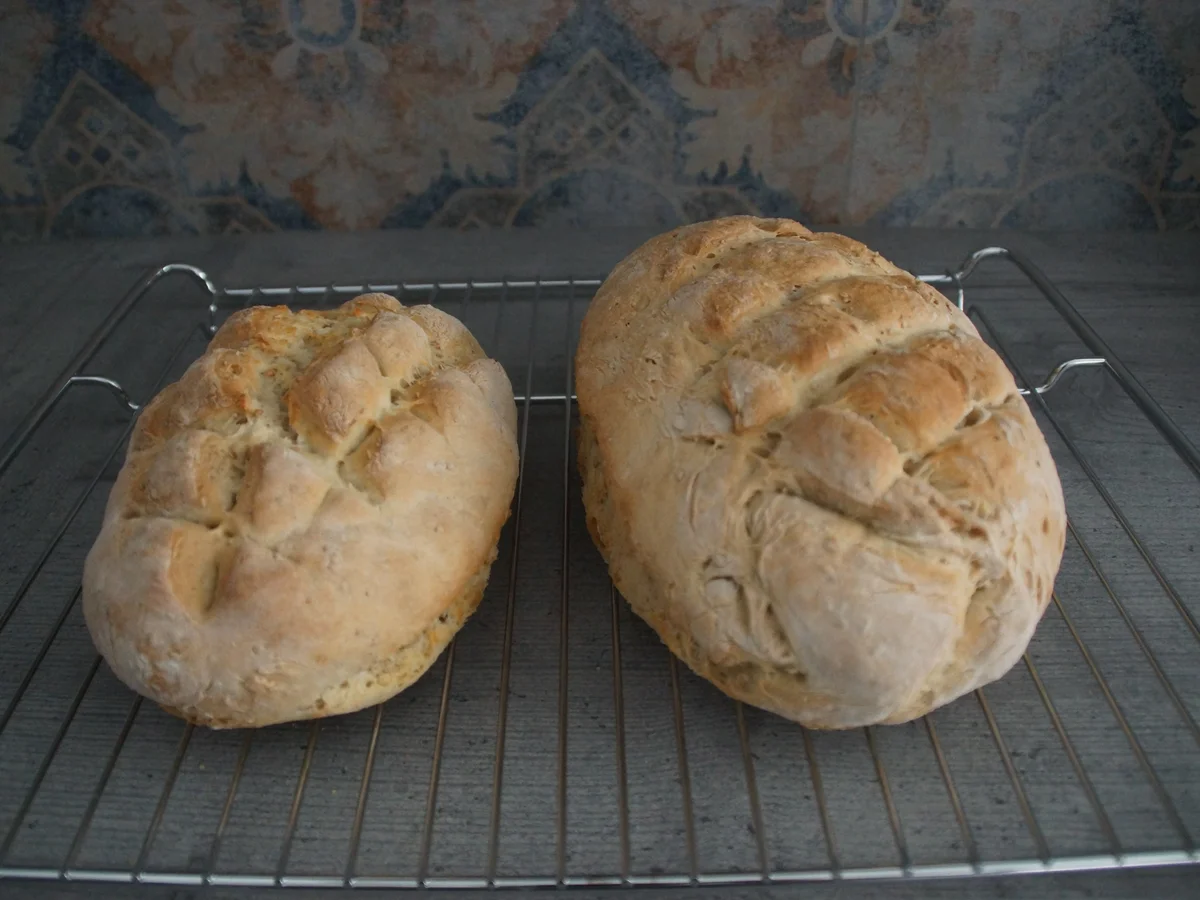 Sesambrot - Rezept - Bild Nr. 5835